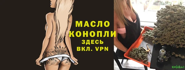 mdpv Богородицк