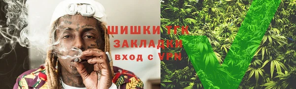mdpv Богородицк