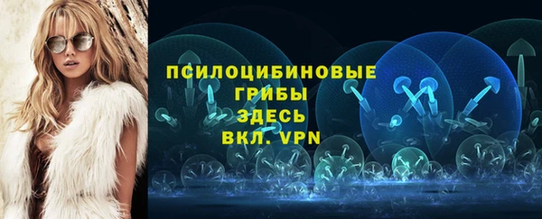 марки lsd Богданович