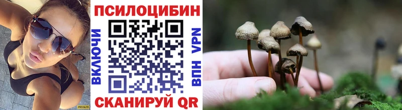 Псилоцибиновые грибы Psilocybine cubensis  Кириллов 